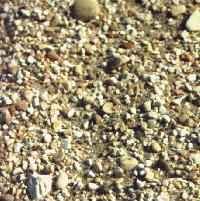 Sandprobe 3